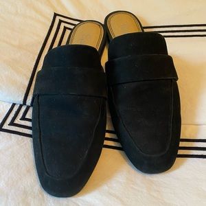 Splendid Black Suede Slides